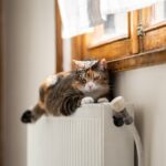 Dlaczego grzejnik grzeje tylko w środkowej części?