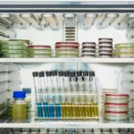 Jak sprawdzić czy czujnik temperatury w lodówce wymaga kalibracji?