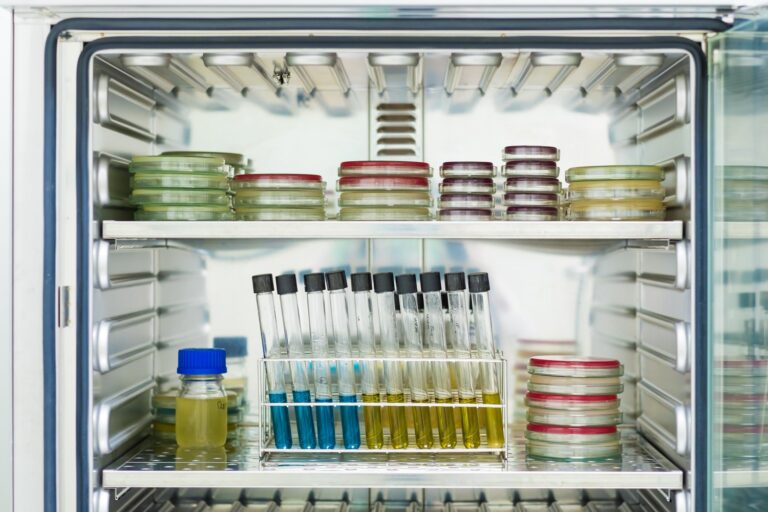 Jak sprawdzić czy czujnik temperatury w lodówce wymaga kalibracji?